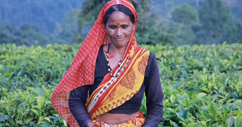 Cultivating Kumaon