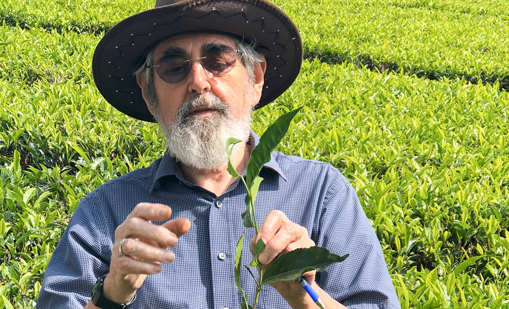 The Total Tea Man: An interview with Nigel Melican