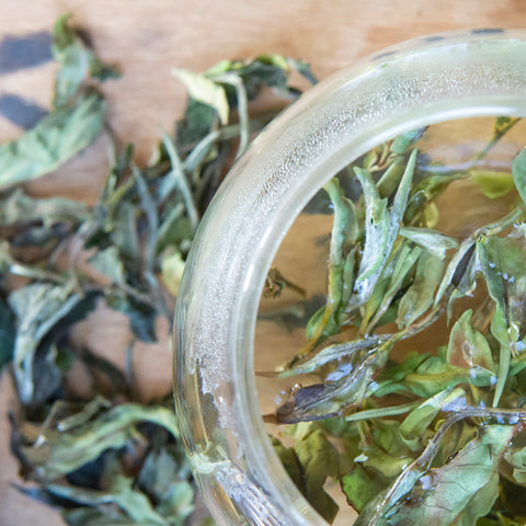 Organic White Tea