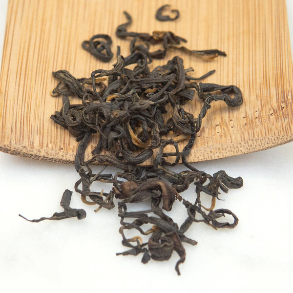 Young Mountain Tea LLC Tea Nepali Shangri-La Oolong