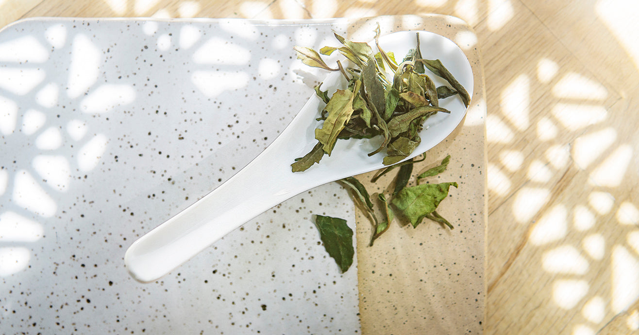 Whole Leaf Kumaon White Tea Young Mountain Tea