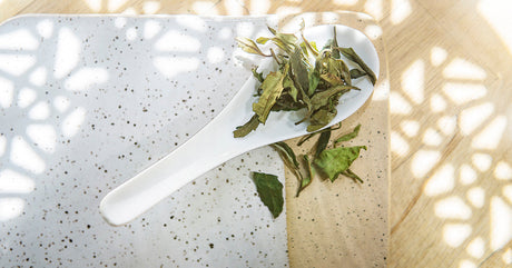 Whole Leaf Kumaon White Tea Young Mountain Tea