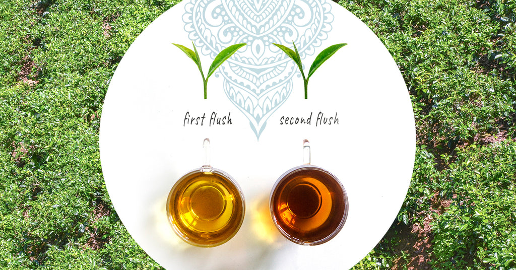 First Flush Vs. Second Flush Tea