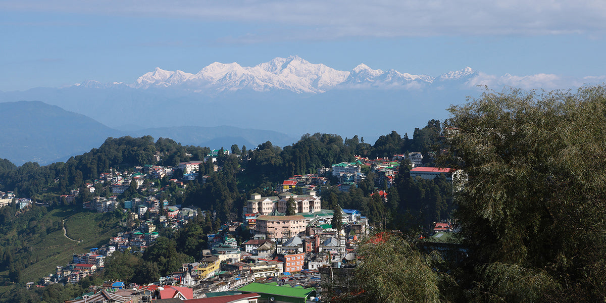 Darjeeling Travel Guide: Tea Gardens and Mountains - Overview of Darjeeling's mountain ranges