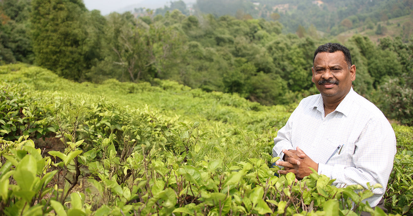 The Making of A Tea Maker