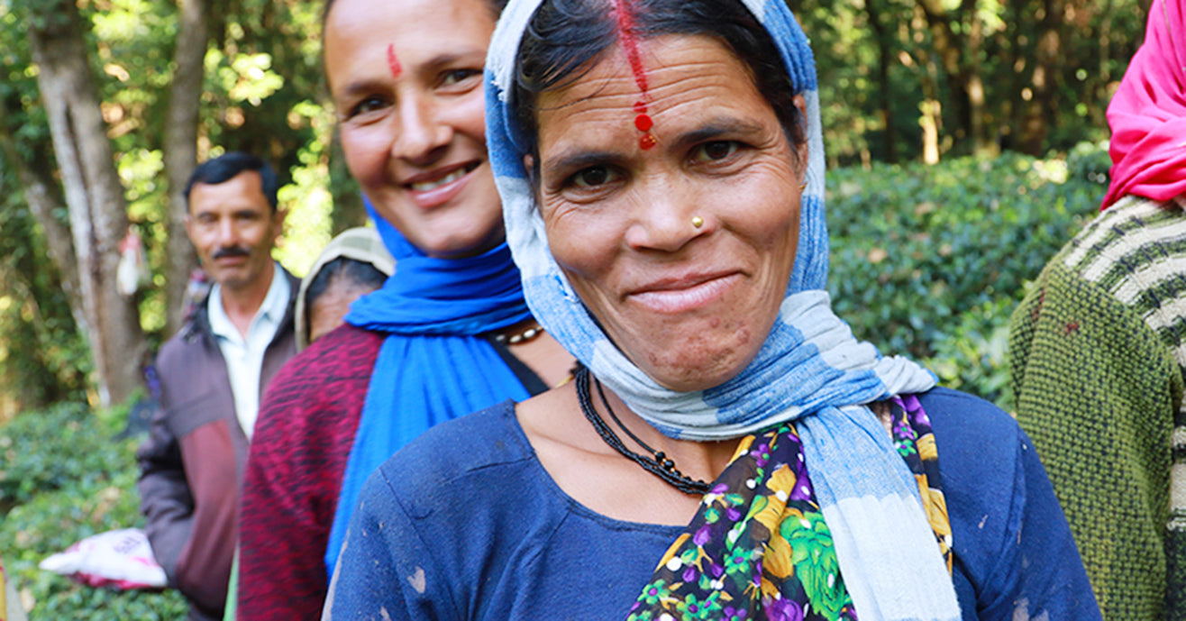 Women Tea Farmers In Kumaon, India