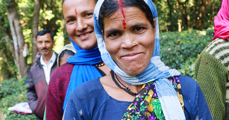 Women Tea Farmers In Kumaon, India