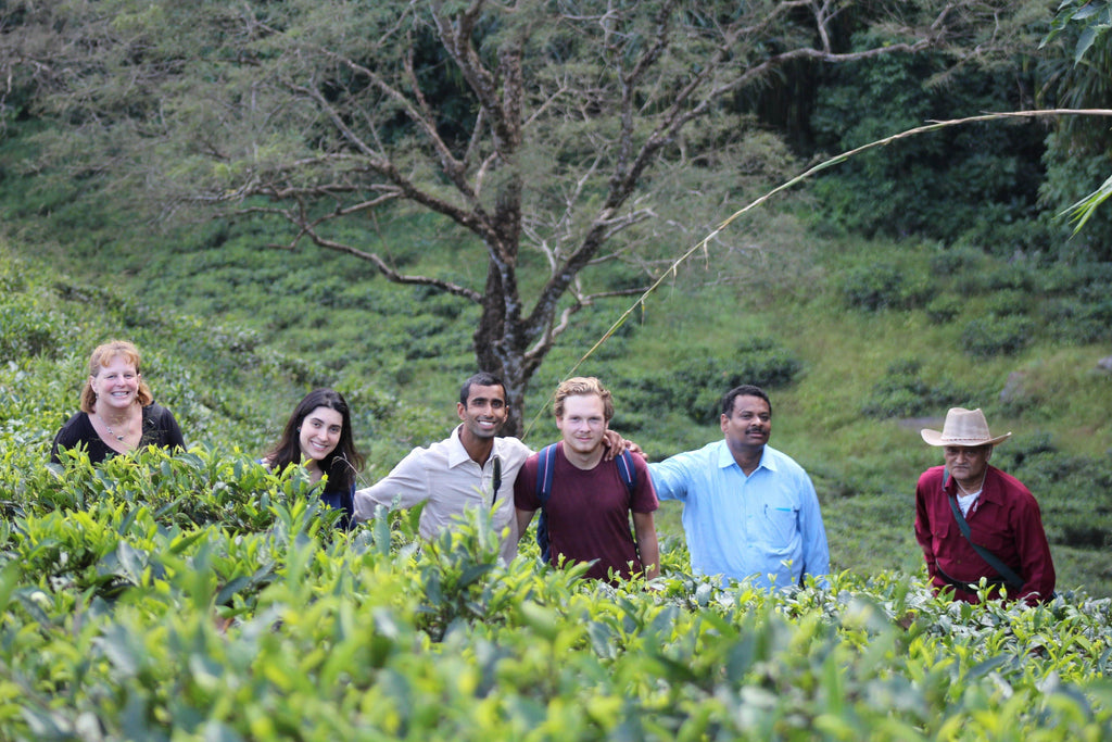 Homestay Program – Guided Tea Trip to Makaibari, Darjeeling India