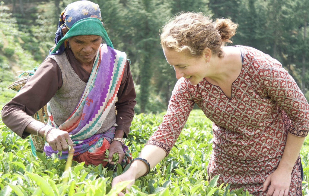 September 2017 Newsletter - Global Tea Exchange