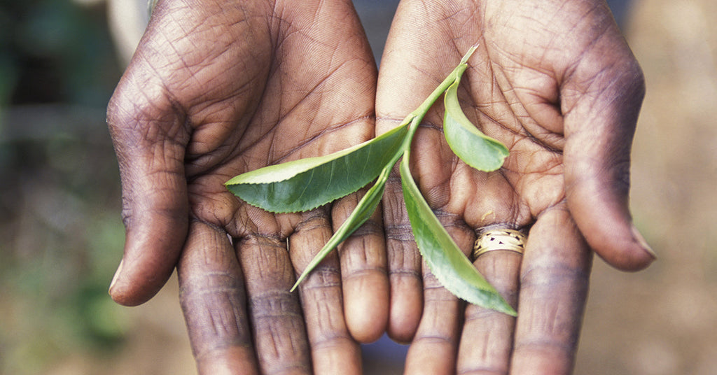Raising Income By Raising Yield