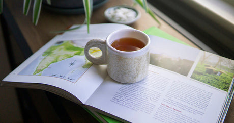 A ceramic cup of tea and an open tea book by window in daylight