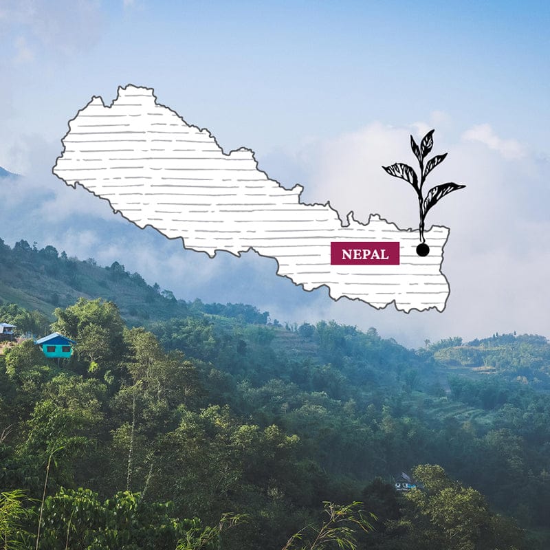 Nepal