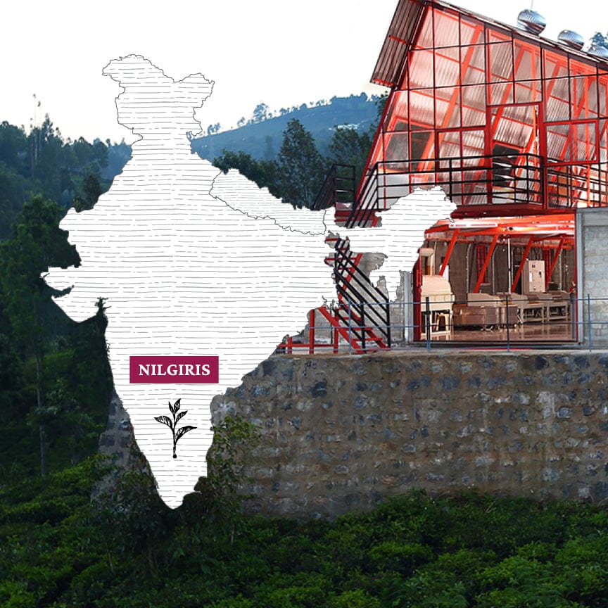 Nilgiris