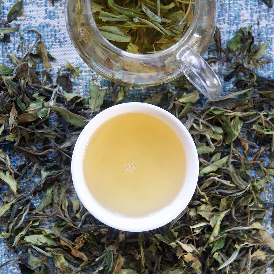 Wholesale Loose Leaf Tea