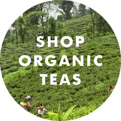 Shop Organic Teas from India and Nepal at Young Mountain Tea