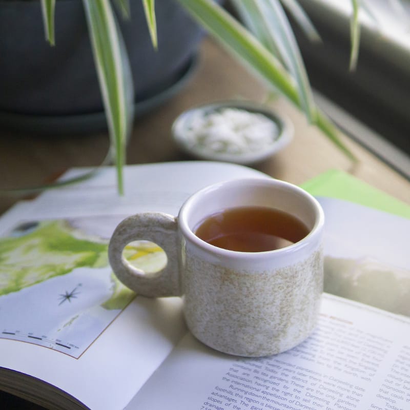 Organic Darjeeling First Flush - Premium Darjeeling Tea- Young