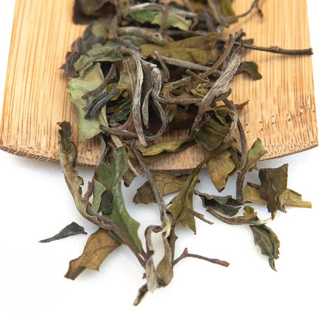 Young Mountain Tea Tea Kumaon White