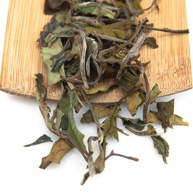 Young Mountain Tea Tea Kumaon White