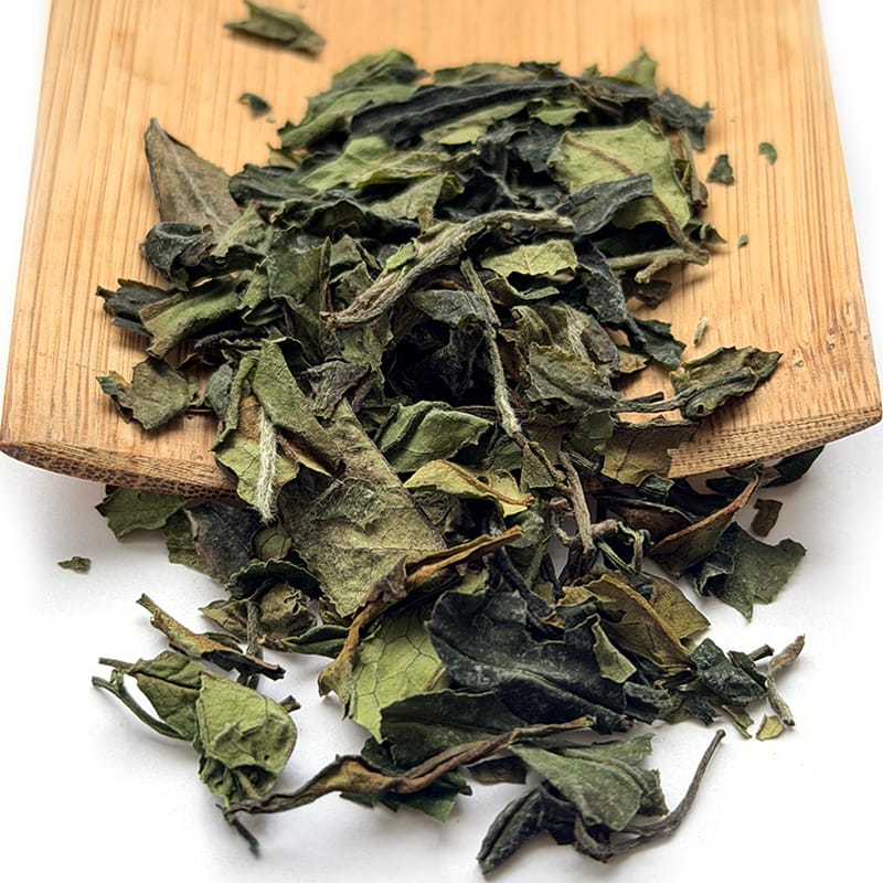 Young Mountain Tea Tea Kumaon White
