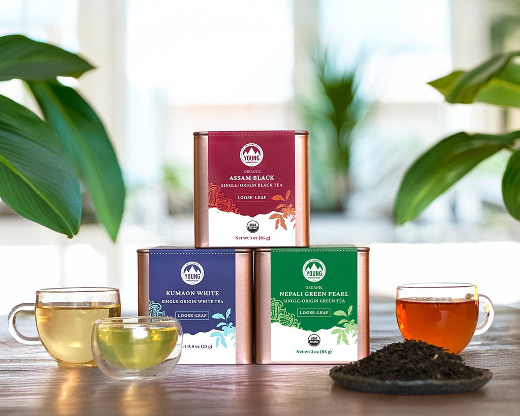 Young Mountain Tea Loose Leaf Starter Bundle