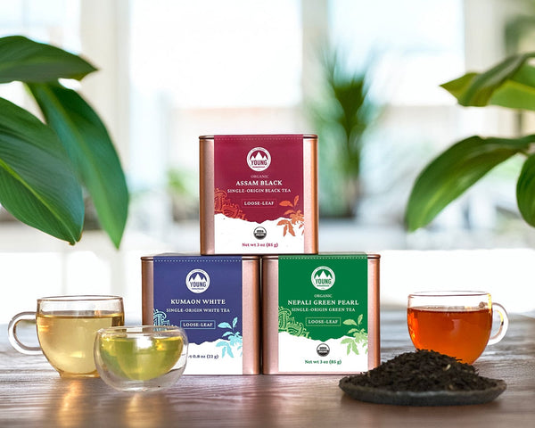 Young Mountain Tea Loose Leaf Starter Bundle