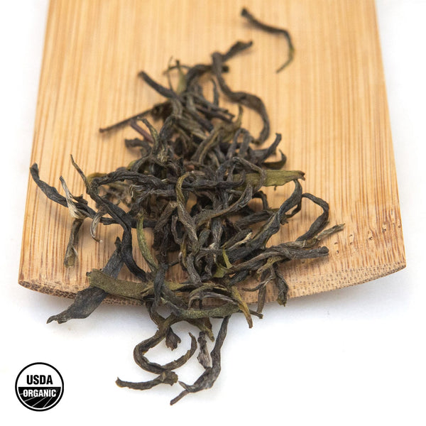 Young Mountain Tea Tea Nepali Green Peak