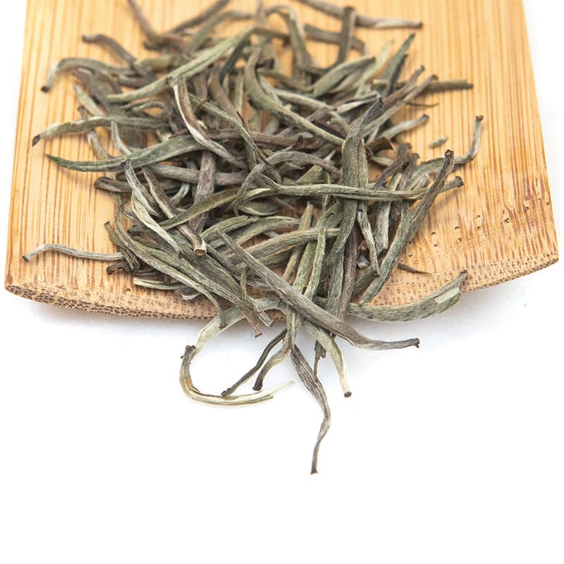 Young Mountain Tea Tea Nilgiri Platinum Needles TEA BY THE POUND!