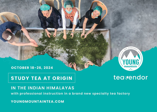 Young Mountain Tea trip Tea Making Course in Kumaon, India