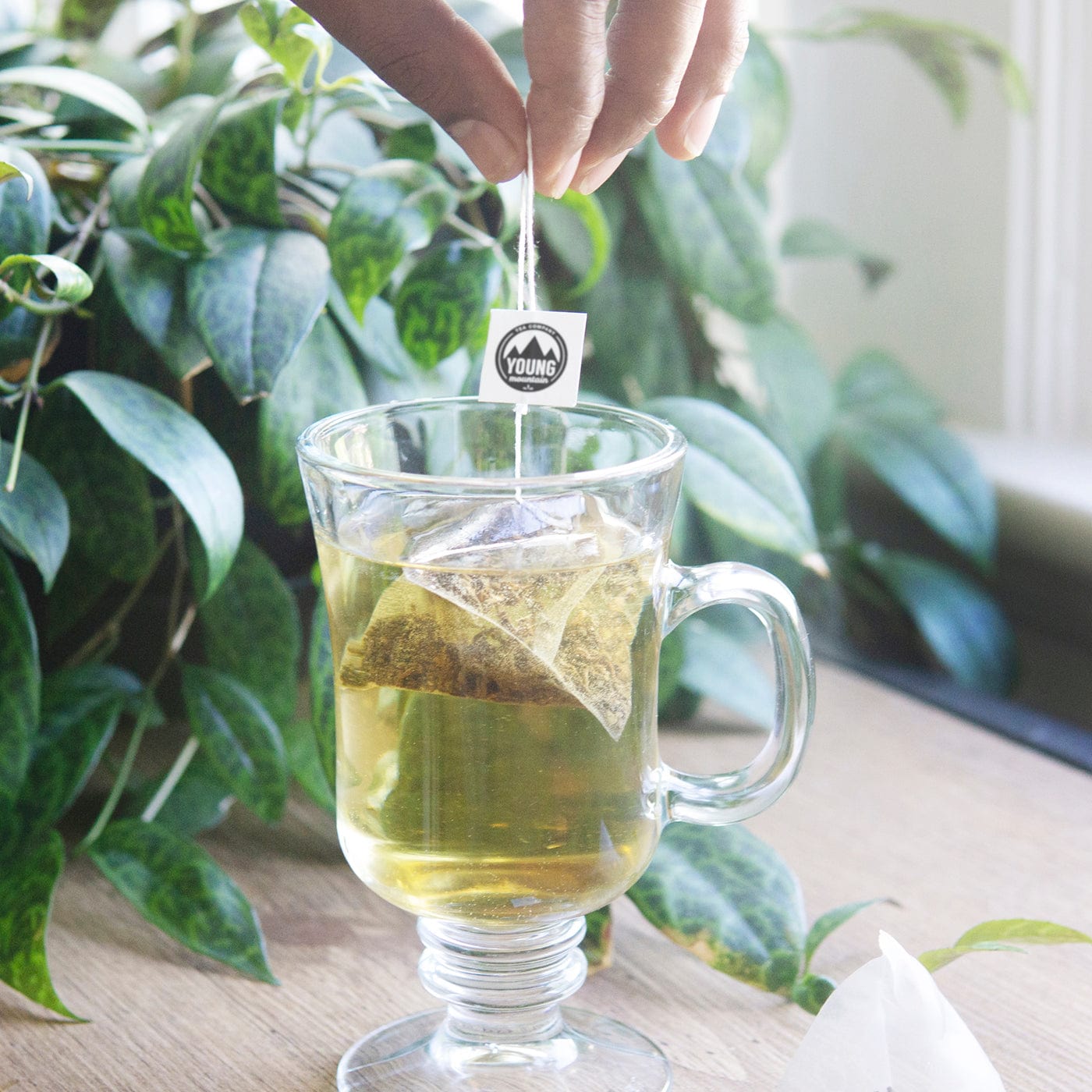 Young Mountain Tea Wholesale (W) Kumaon White Milled