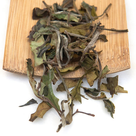 Young Mountain Tea Wholesale 2 lb ($22.50/lb) (W) Kumaon White
