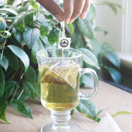 Young Mountain Tea Wholesale (W) Kumaon White