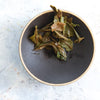 Young Mountain Tea LLC Tea Organic Nepali Spring Oolong
