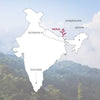 Young Mountain Tea LLC Tea Organic Nepali Spring Oolong