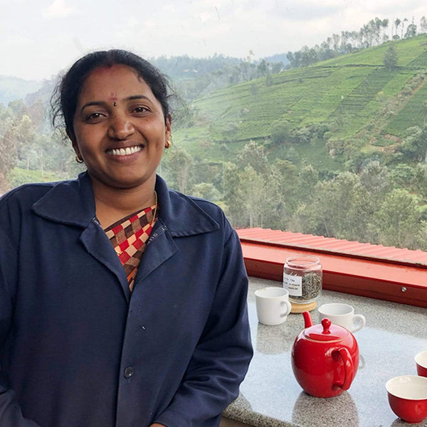 Young Mountain Tea Tea Nilgiri Forest