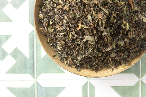 Young Mountain Tea Tea Organic Nepali Green Pearl TEA BY THE POUND!