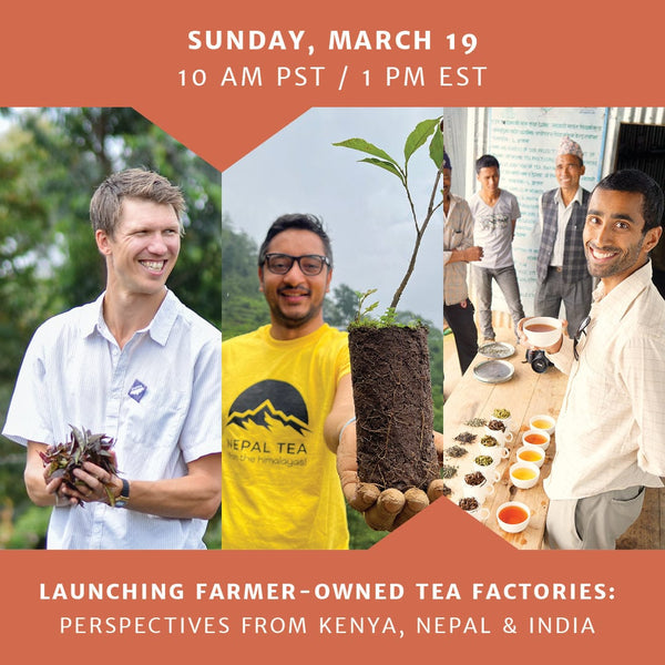 Young Mountain Tea Event Show Only Virtual Workshop: Launching Farmer-Owned Tea Factories, Perspectives From Kenya, Nepal, and India