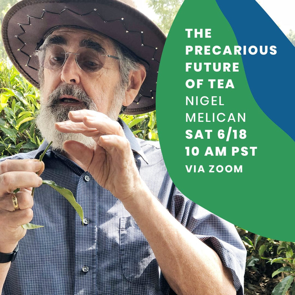 Young Mountain Tea Event Virtual Workshop: The Precarious Future of Tea with Nigel Melican